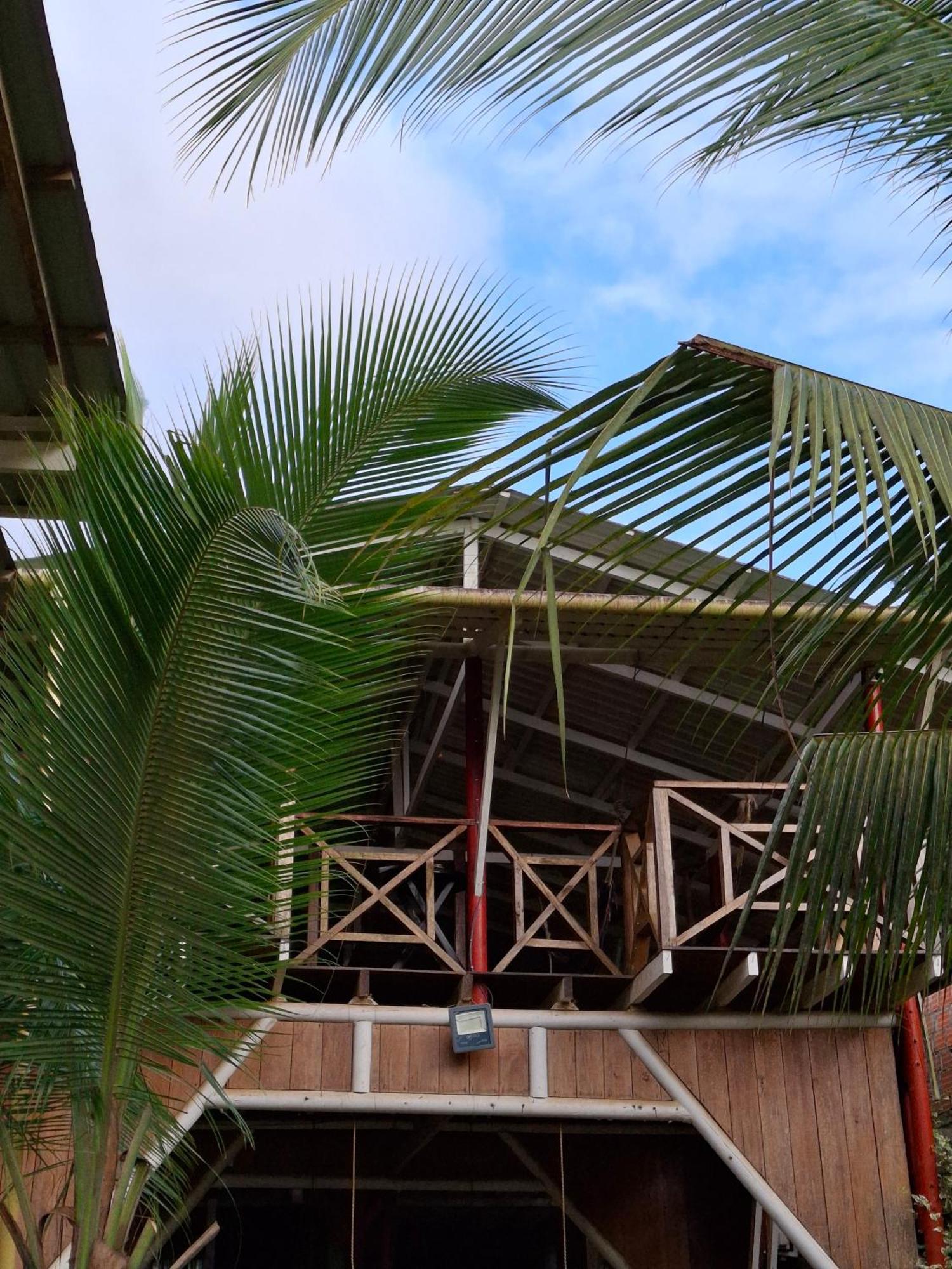 Posada El Acuario Bahia Solano Eksteriør bilde