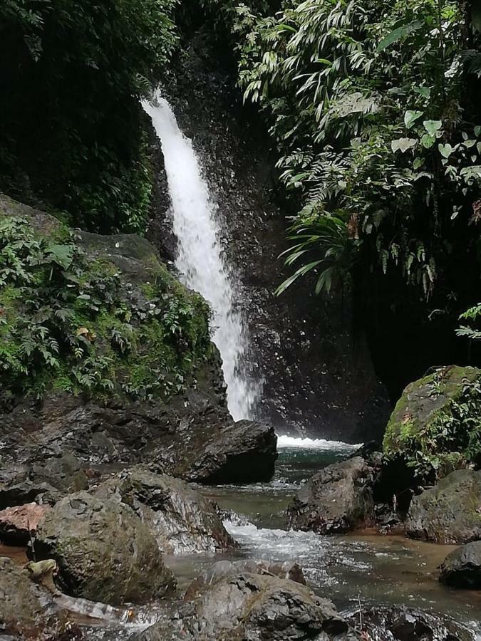 Posada El Acuario Bahia Solano Eksteriør bilde